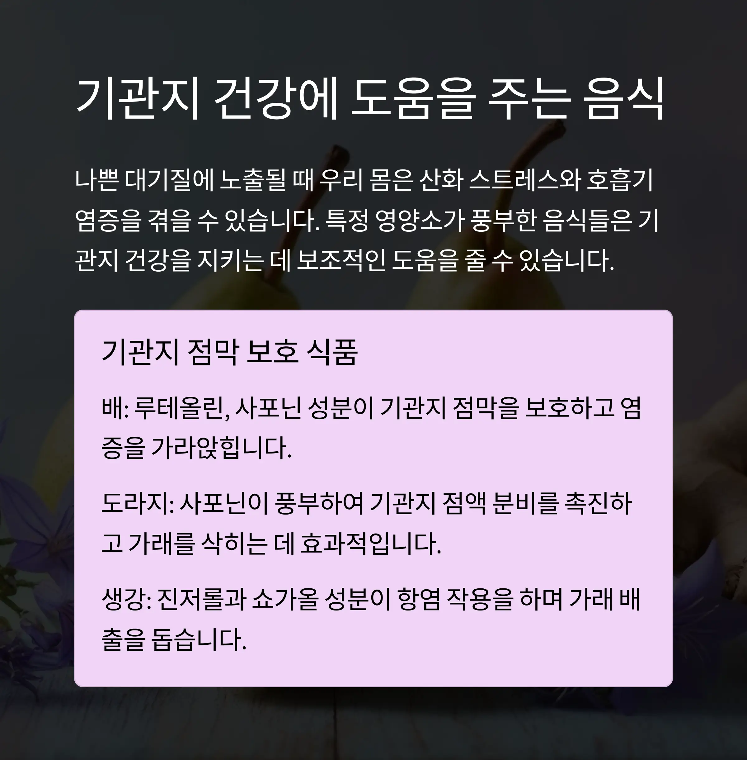 기관지 관리법 정리