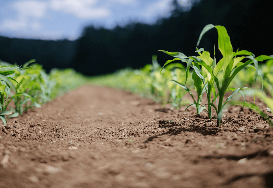 청년층 대상 농촌 임대주택 지원 확대