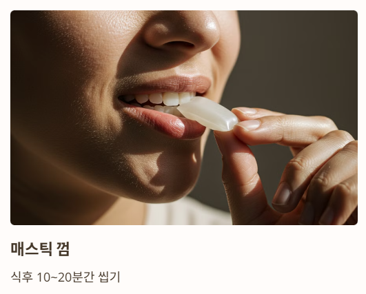 매스틱검 복용법