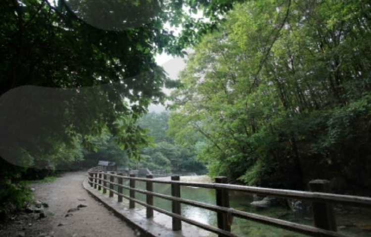 유명산 등산코스