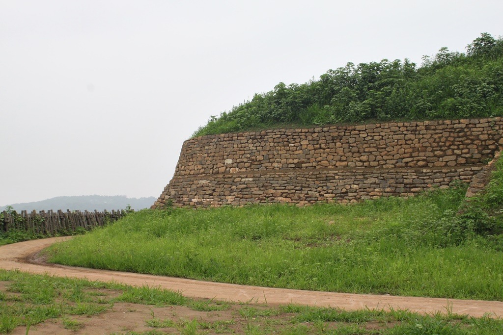 연천 호로고루 해바라기 통일바라기 축제