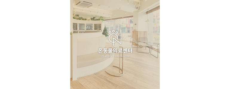 부산 부산진구 동물병원