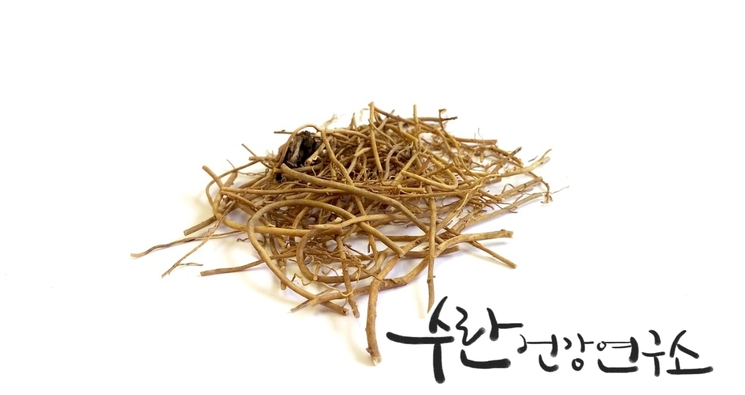 경옥고 효능 가격 광동경옥고