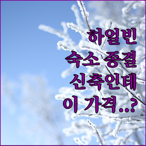 하얼빈 숙소 추천 리스트 성 소피아 ..