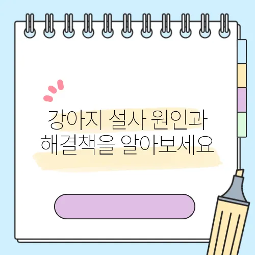 강아지 설사 원인과 해결책을 알아보세요