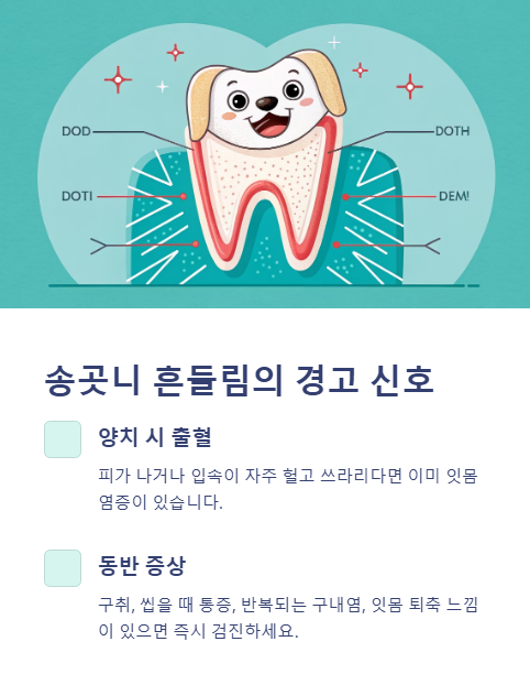송곳니 흔들림의 경고 신호