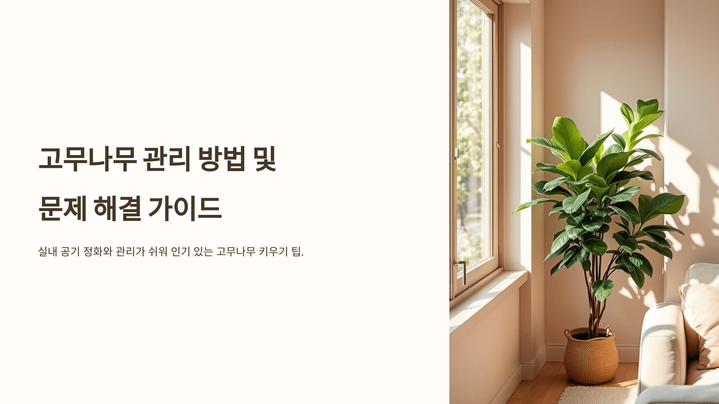 고무나무와 관련된 사진입니다.