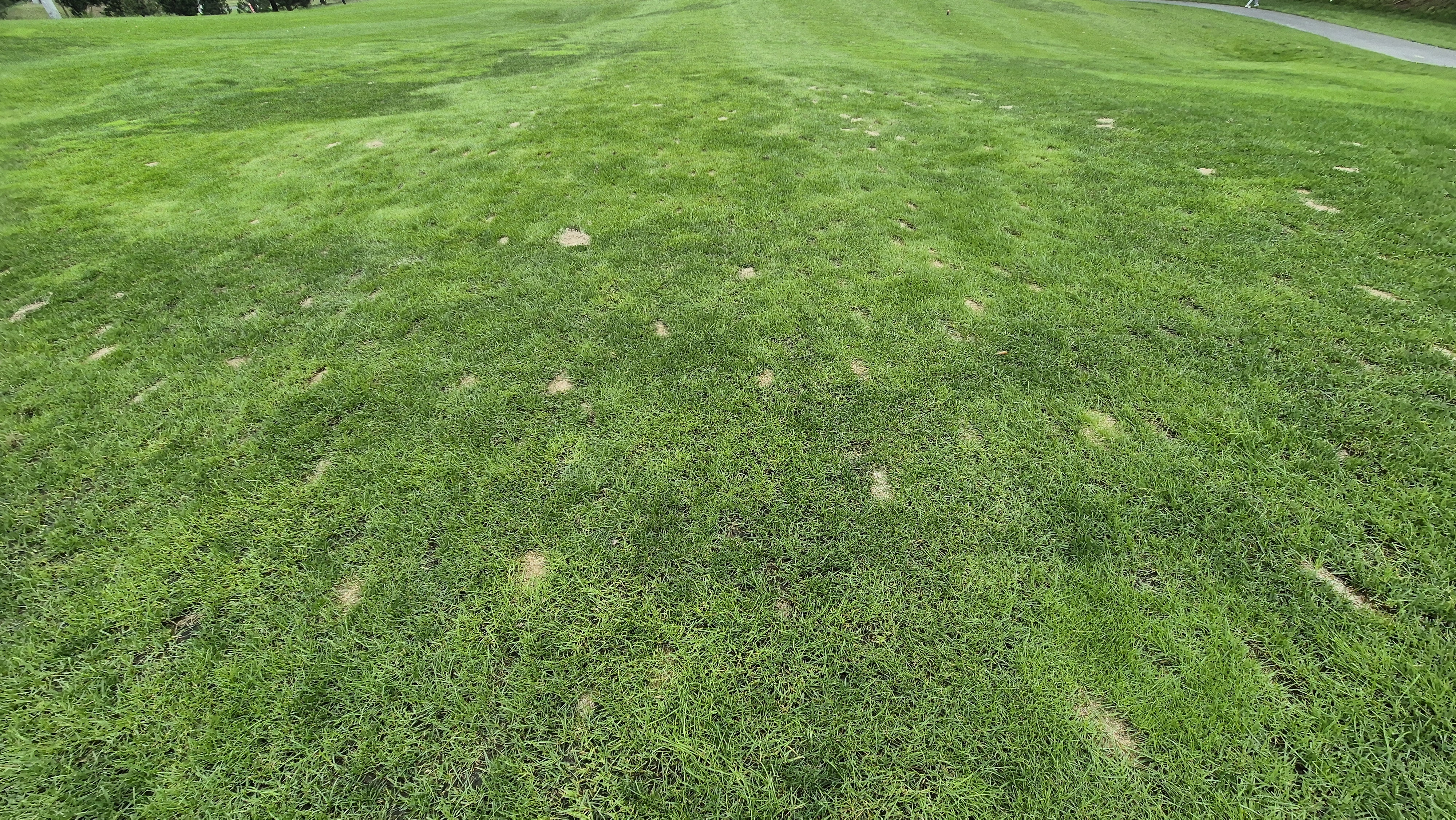 블랙스톤 벨포레cc 코스 관리 상태