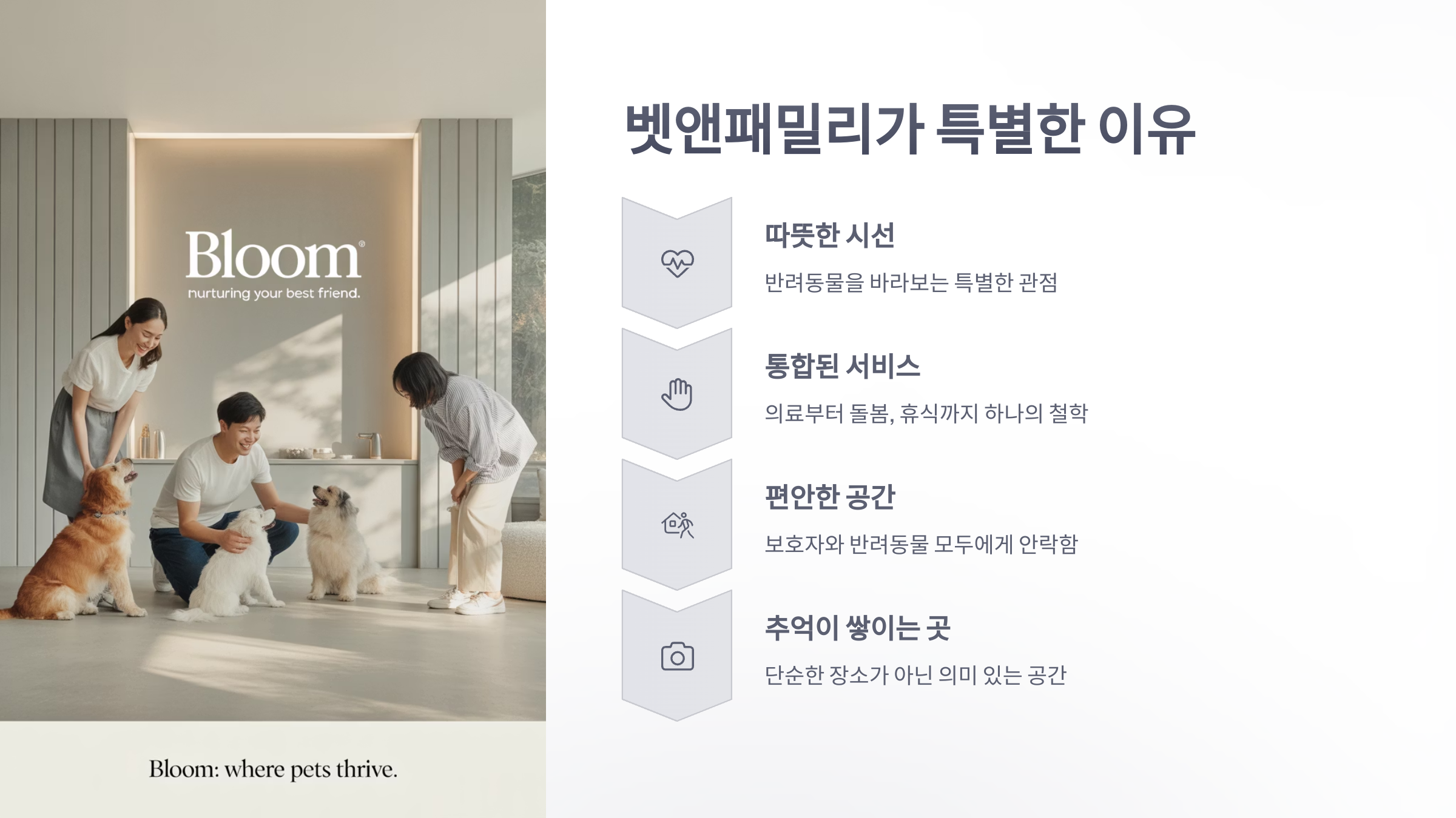 참조-뱃앤패밀리의-뜻-5