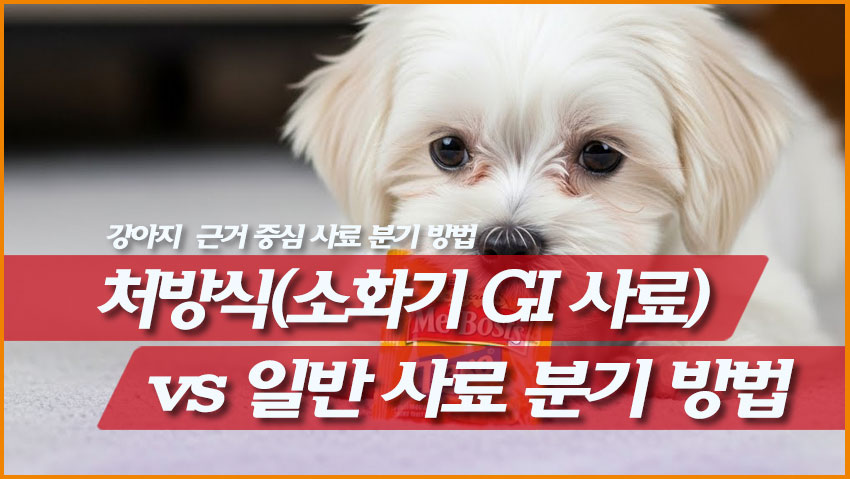 처방식(소화기 GI 사료) vs 일반 사료 분기 방법 (근거 중심)