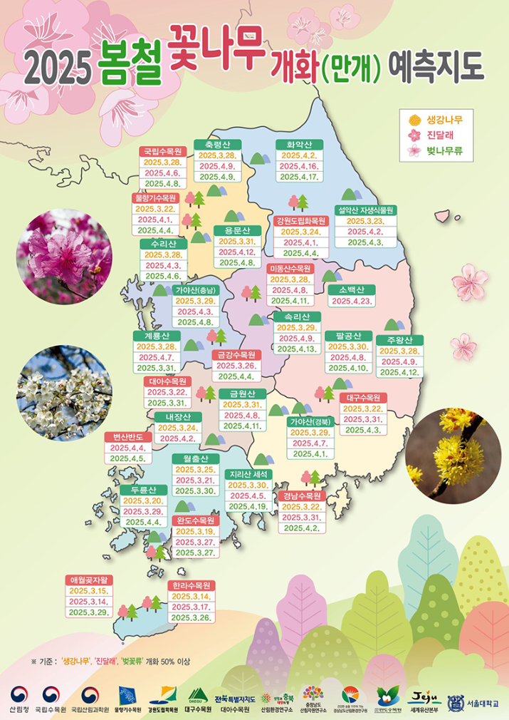 2025 봄철 꽃나무 개화 시기 예측 지도