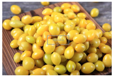 다이어트에-좋은-가을-제철음식-은행