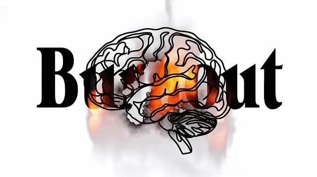 뇌의 생리학적 스트레스 반응: 호르몬과 신경 회로의 상호작용