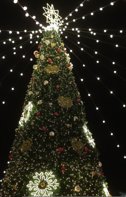 12월 전국 겨울축제 일정표