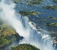 ISFP 유형 특징 분석