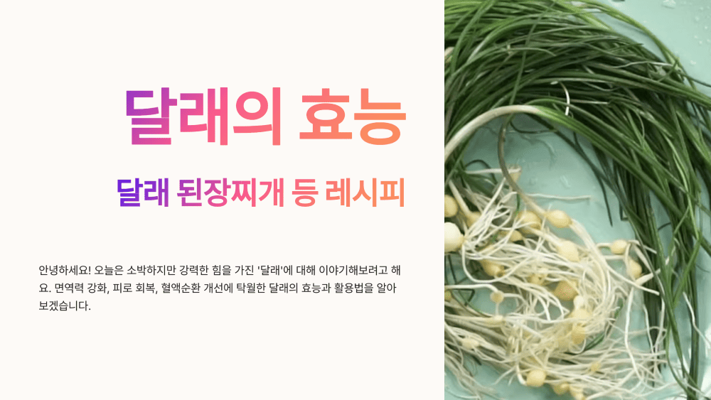 달래 효능 달래 된장찌개 등 레시피