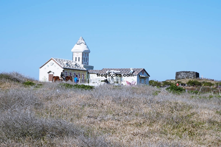 제주도 가볼만한곳 10곳