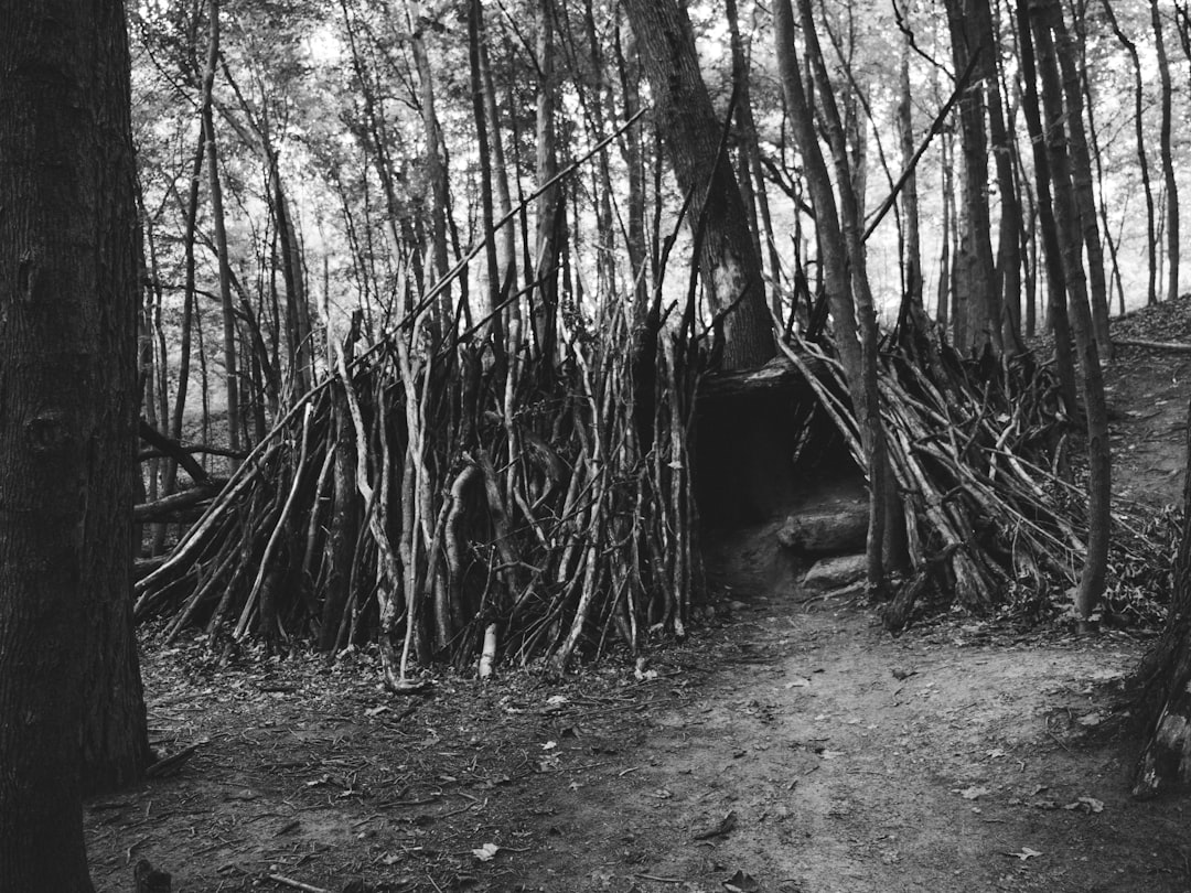 Shelter