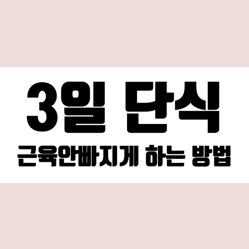 3일단식근육안빠지게하는방법