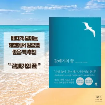 갈매기의 꿈 줄거리 자기초월 우화 리처드 바크_6