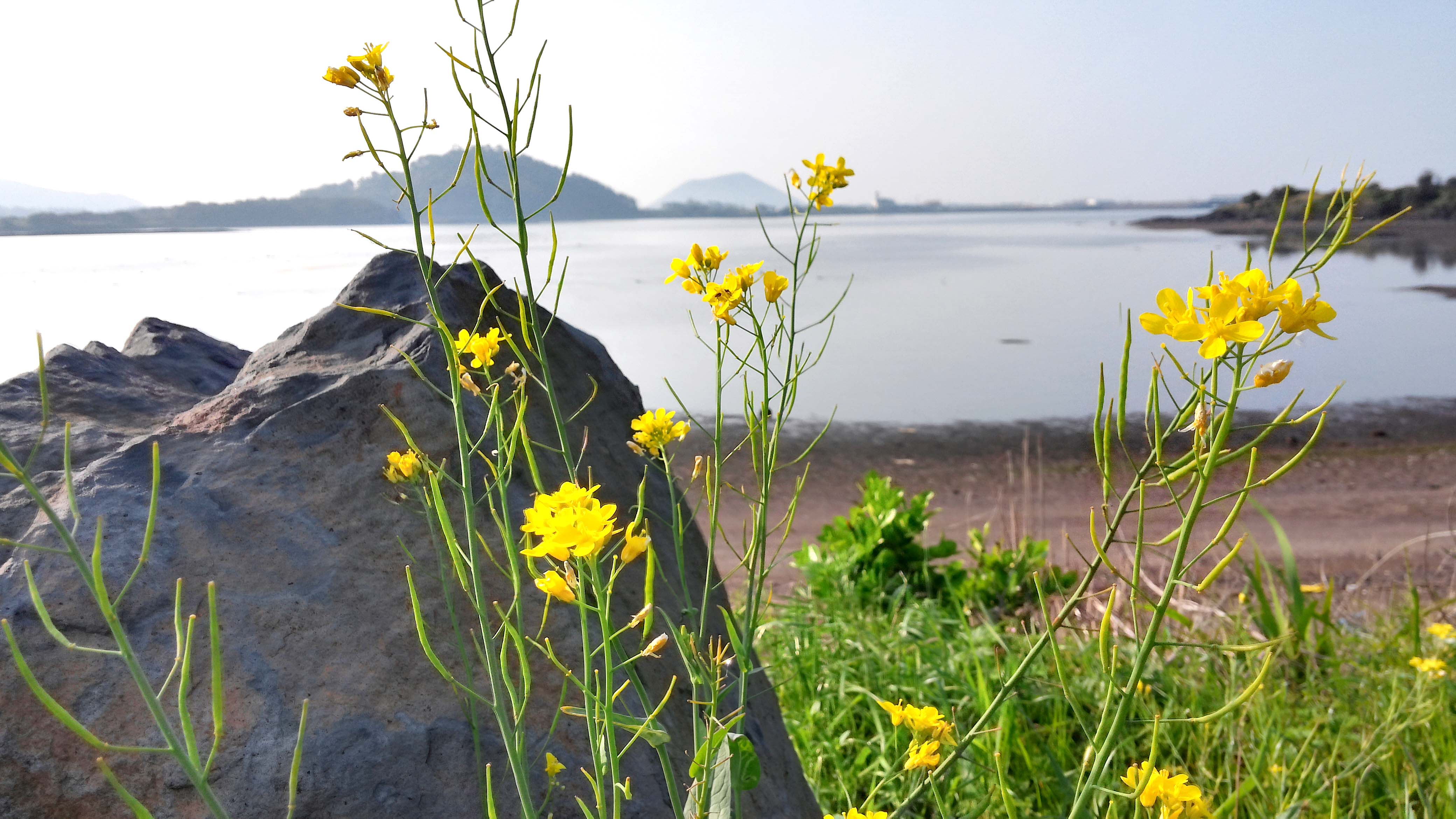 광치기해변(Gwangchigi Beach)