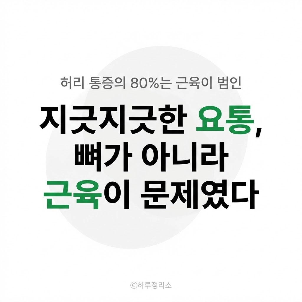 허리 통증 원인은 뼈가 아니다 만성 요통 잡는 '코어 근육'의 비밀