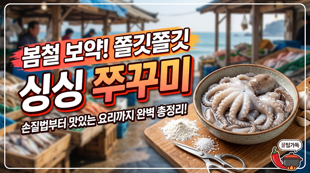 봄철 보약! 쭈꾸미 손질법부터 요리까지