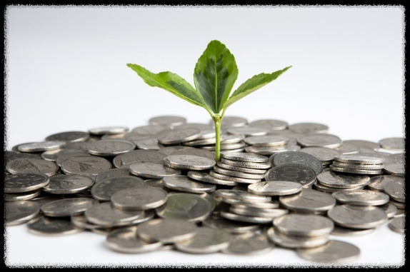 발급 기간 안내