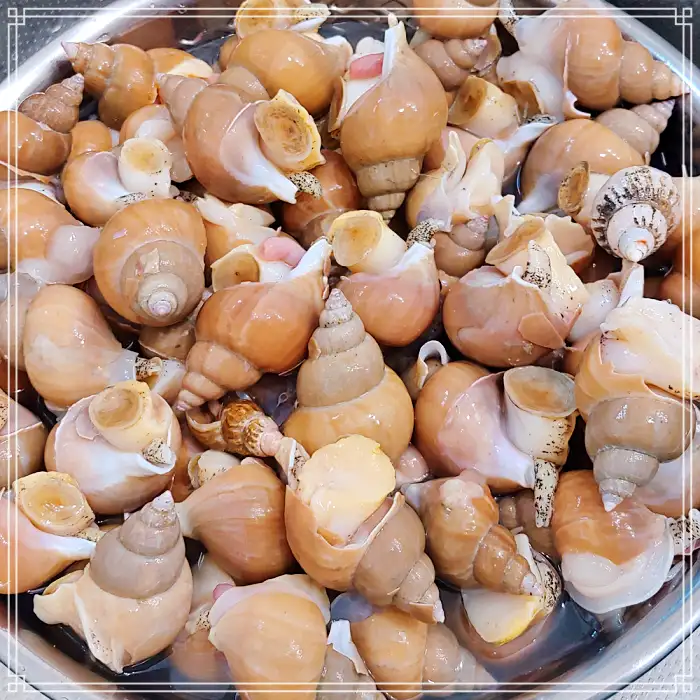 경북 포항 맛집 전국 택배 주문 제철 해산물