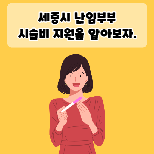 세종시 난임부부 시술비 지원
