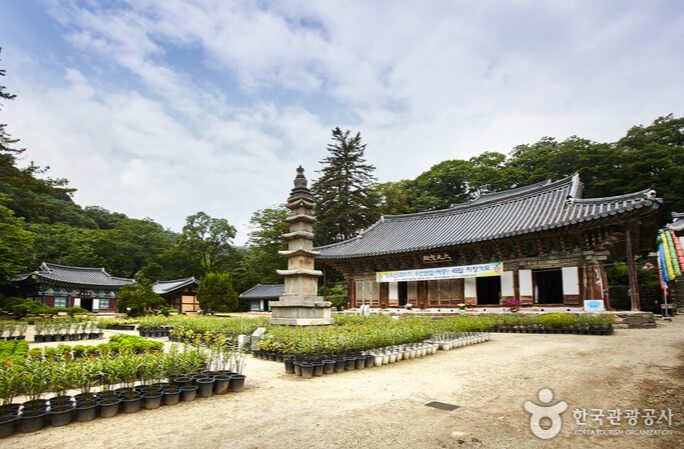 공주 가볼만한곳 베스트 10