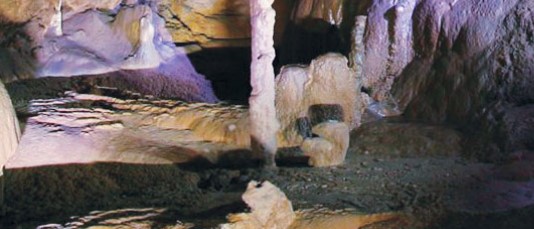 삼척장미축제