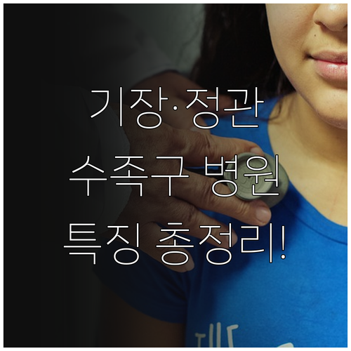 기장 일광 정관 수족구 진료 병원 특..