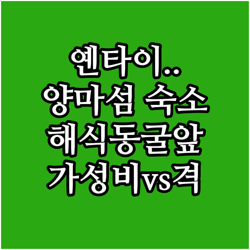 옌타이 양마섬 해식동굴 앞 오션뷰 숙..