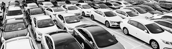 직영점 직접 거래