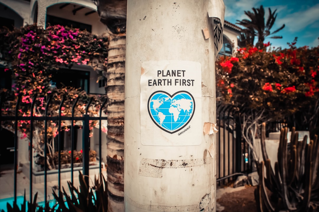 'Sustainability'