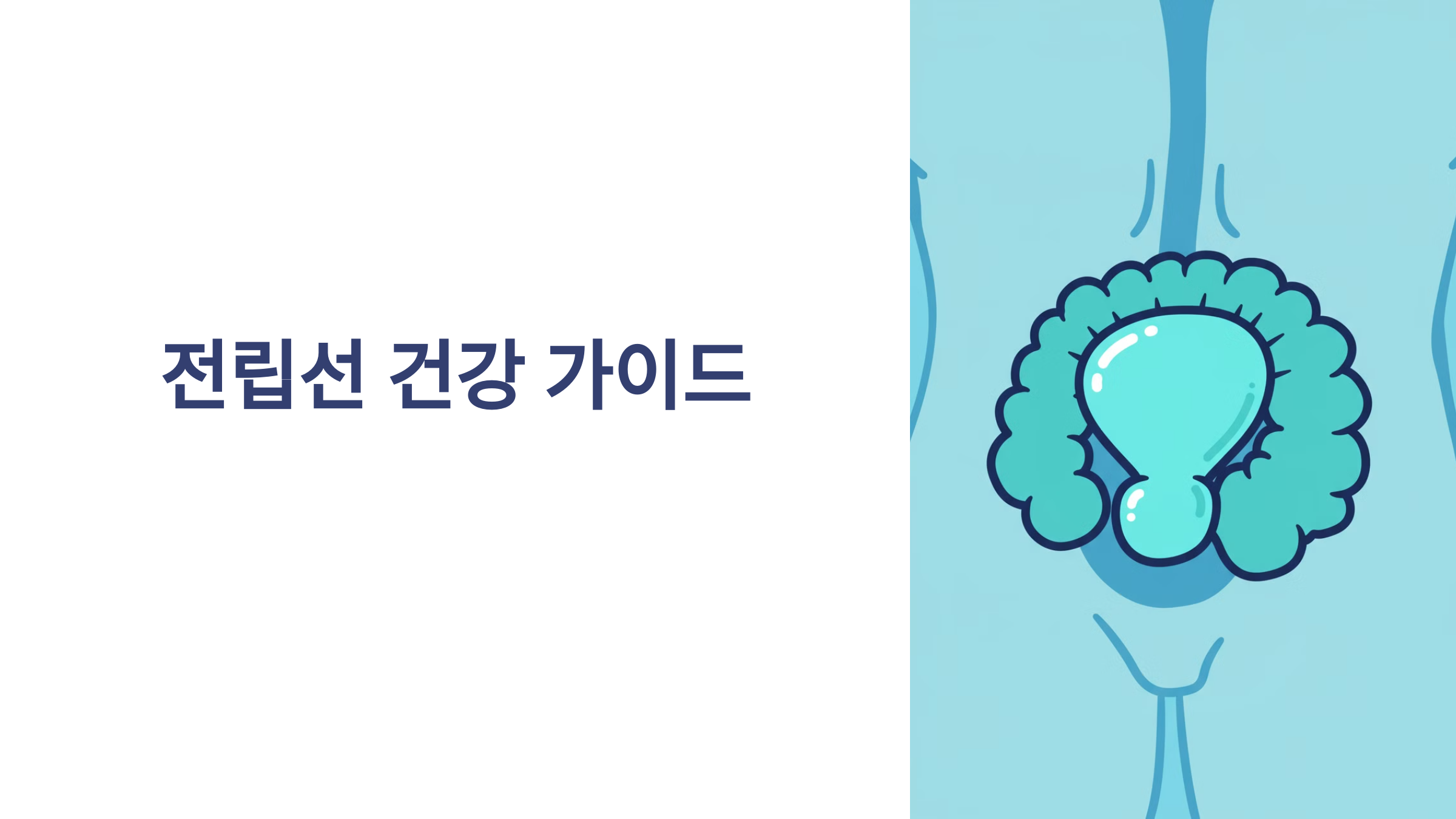 전립선 건강 가이드