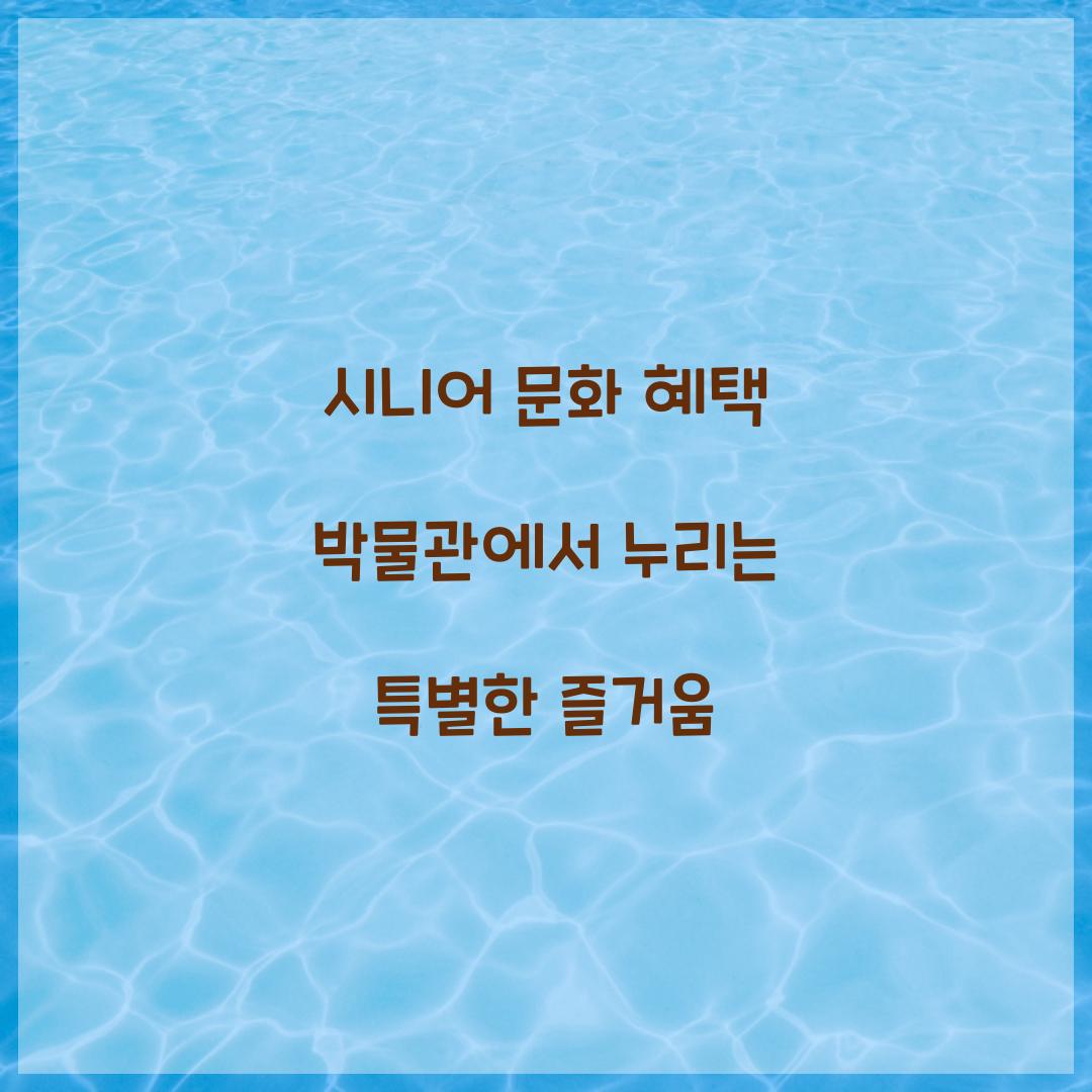 시니어 문화 혜택 박물관