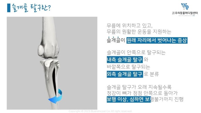강아지슬개골