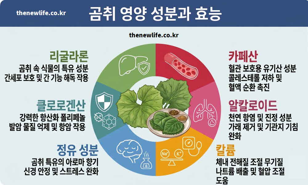 곰취 효능 영양성분
