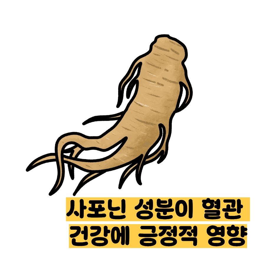 도라지청의 효능