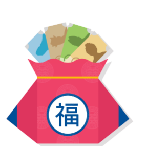 보금자리론 디딤돌 차이