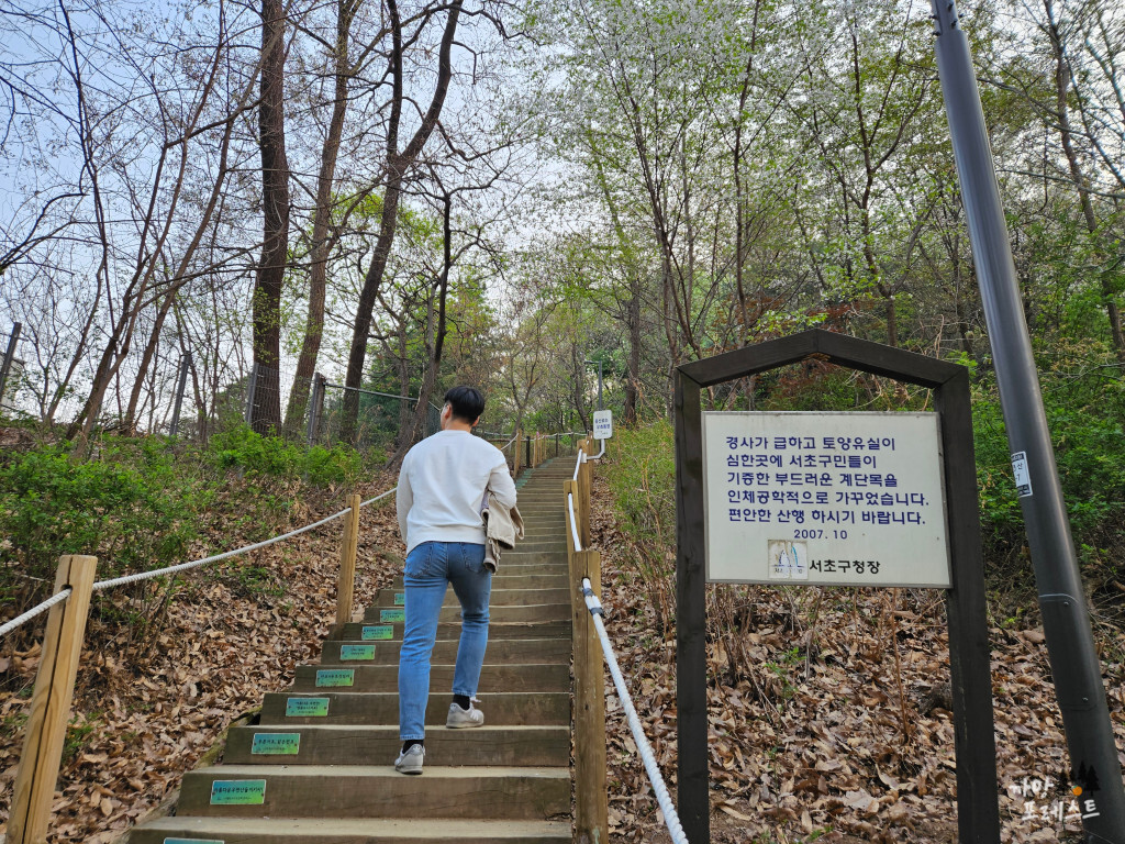 우면산 등산 계단