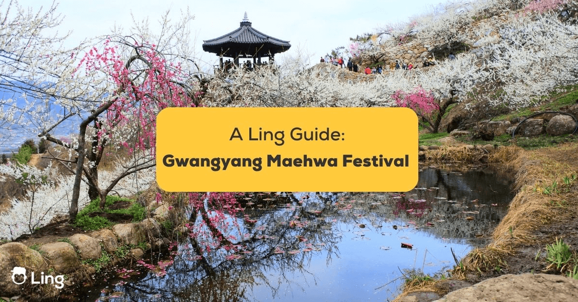 2025년 광양 매화축제 주차장 관련 사진