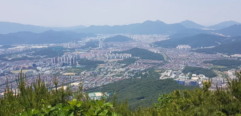 창원 비음산