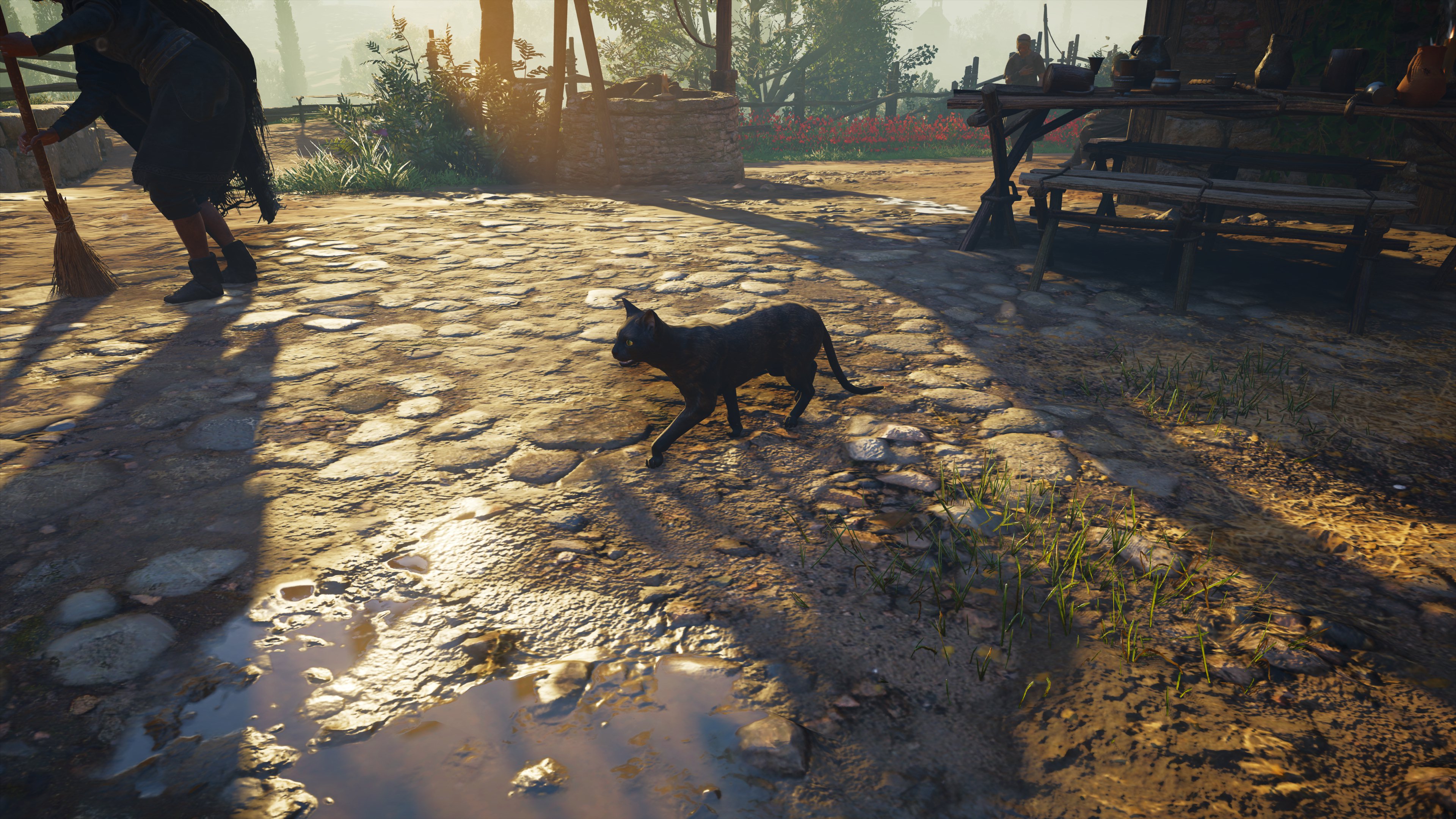 발할라 나만 고양이 없어