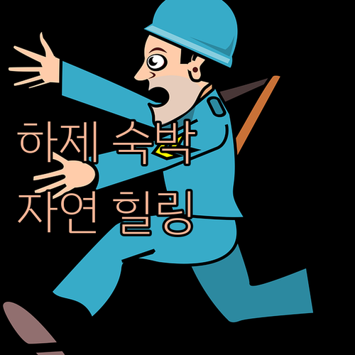 뉴에게인 하제 레스토랑 숙박 후기! ..