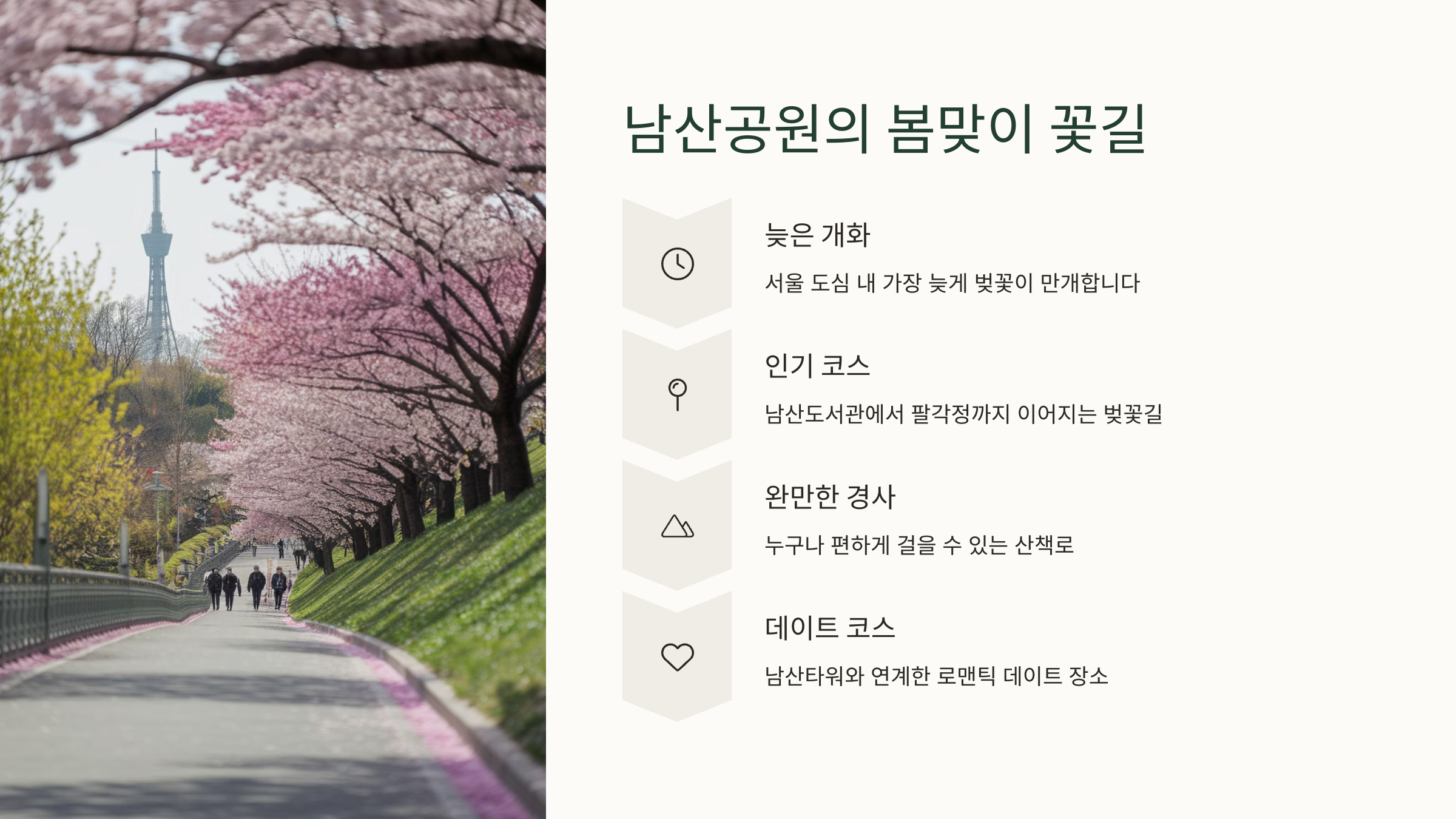 남산공원의 봄맞이 꽃길