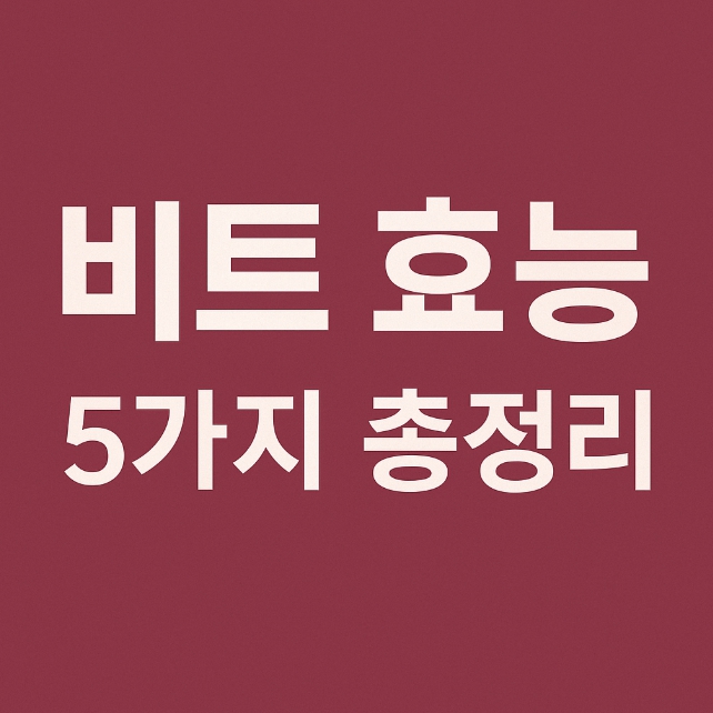 비트 효능 썸네일
