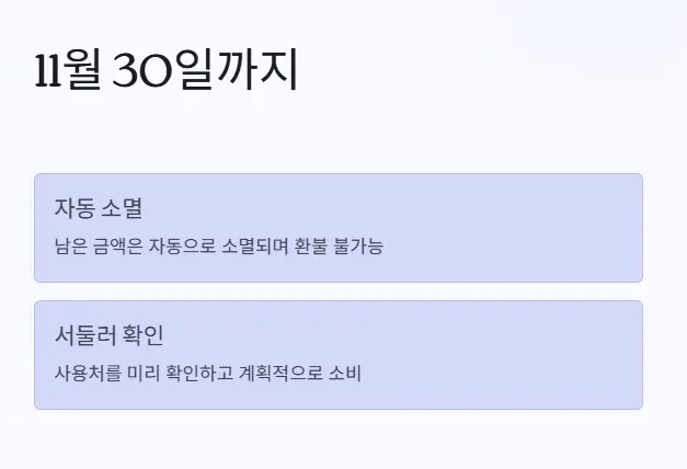 민생회복지원금-사용기간